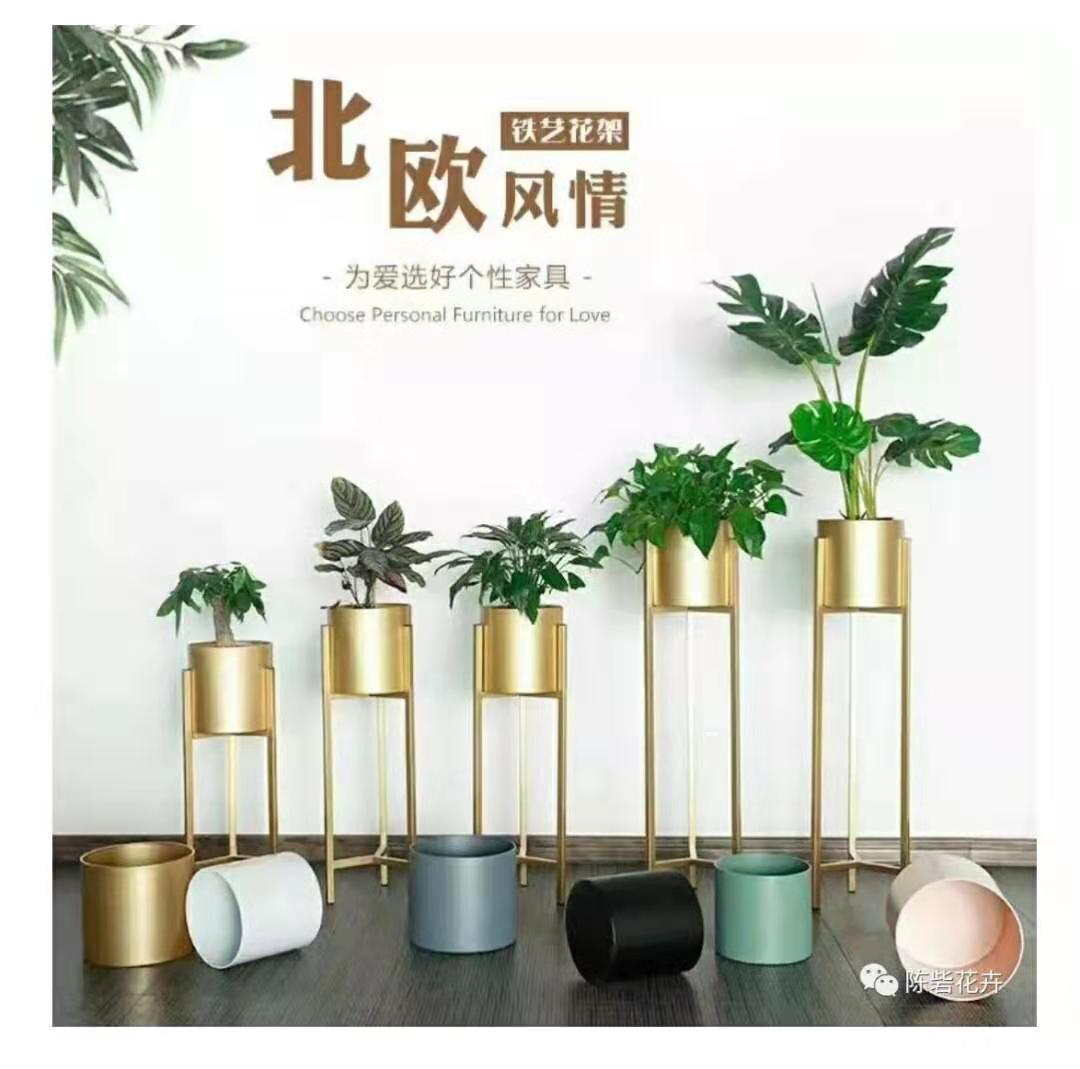 INS风网红花架，给家中添一抹亮丽风景