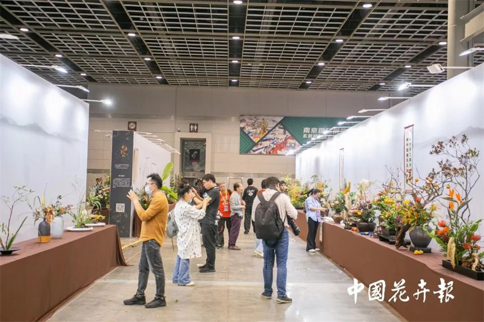 【采薇专栏】传统插花要破圈儿？17个流派、名师的200个作品点亮南京“最美花展”