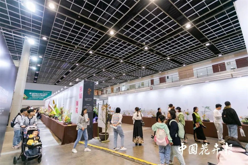 【采薇专栏】传统插花要破圈儿？17个流派、名师的200个作品点亮南京“最美花展”