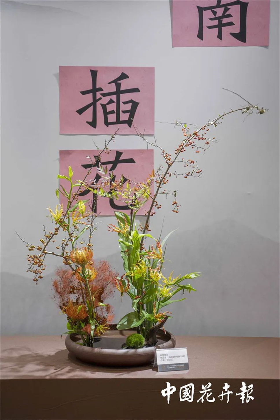【采薇专栏】传统插花要破圈儿?17个流派、名师的200个作品点亮南京“最美花展” 【采薇专栏】传统插花要破圈儿?17个流派、名师的200个作品点亮南京“最美花展”