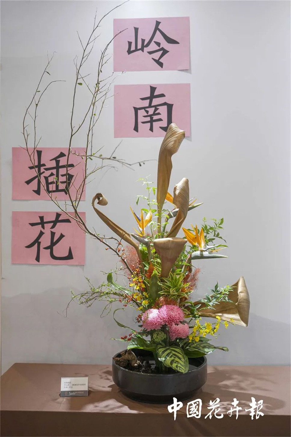 【采薇专栏】传统插花要破圈儿?17个流派、名师的200个作品点亮南京“最美花展” 【采薇专栏】传统插花要破圈儿?17个流派、名师的200个作品点亮南京“最美花展”