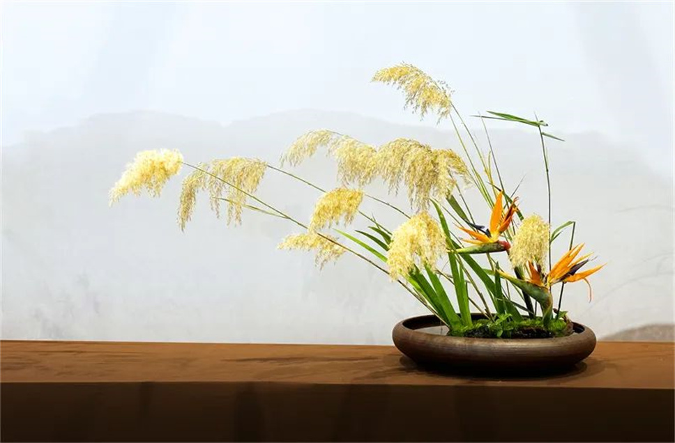 【采薇专栏】传统插花要破圈儿?17个流派、名师的200个作品点亮南京“最美花展” 【采薇专栏】传统插花要破圈儿?17个流派、名师的200个作品点亮南京“最美花展”