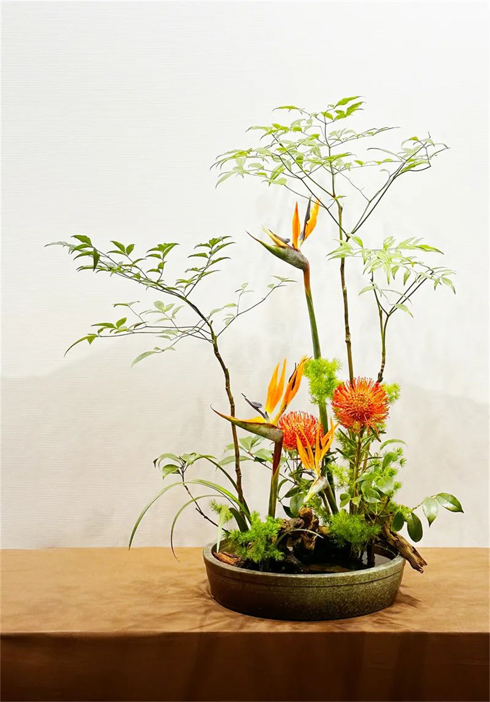 【采薇专栏】传统插花要破圈儿?17个流派、名师的200个作品点亮南京“最美花展” 【采薇专栏】传统插花要破圈儿?17个流派、名师的200个作品点亮南京“最美花展”