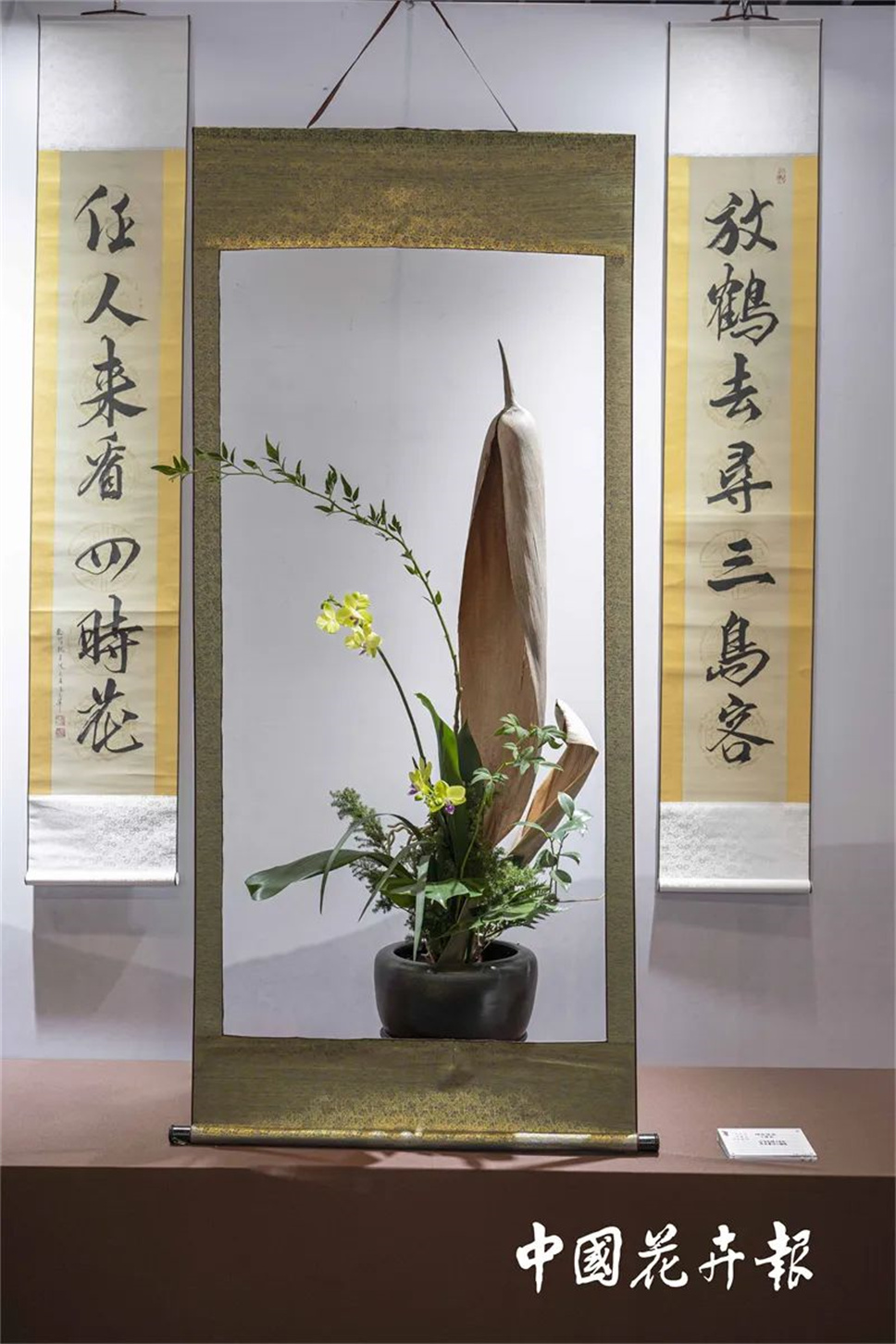 【采薇专栏】传统插花要破圈儿?17个流派、名师的200个作品点亮南京“最美花展” 【采薇专栏】传统插花要破圈儿?17个流派、名师的200个作品点亮南京“最美花展”