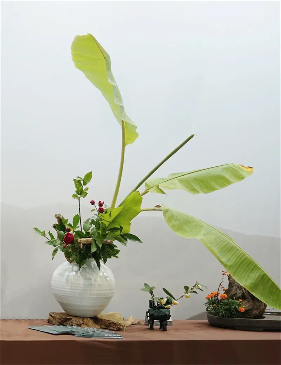 【采薇专栏】传统插花要破圈儿?17个流派、名师的200个作品点亮南京“最美花展” 【采薇专栏】传统插花要破圈儿?17个流派、名师的200个作品点亮南京“最美花展”
