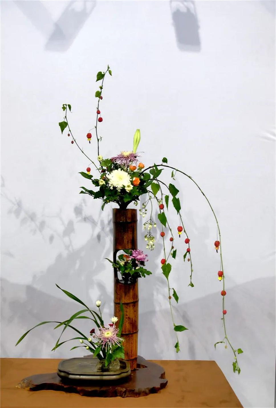 【采薇专栏】传统插花要破圈儿?17个流派、名师的200个作品点亮南京“最美花展” 【采薇专栏】传统插花要破圈儿?17个流派、名师的200个作品点亮南京“最美花展”