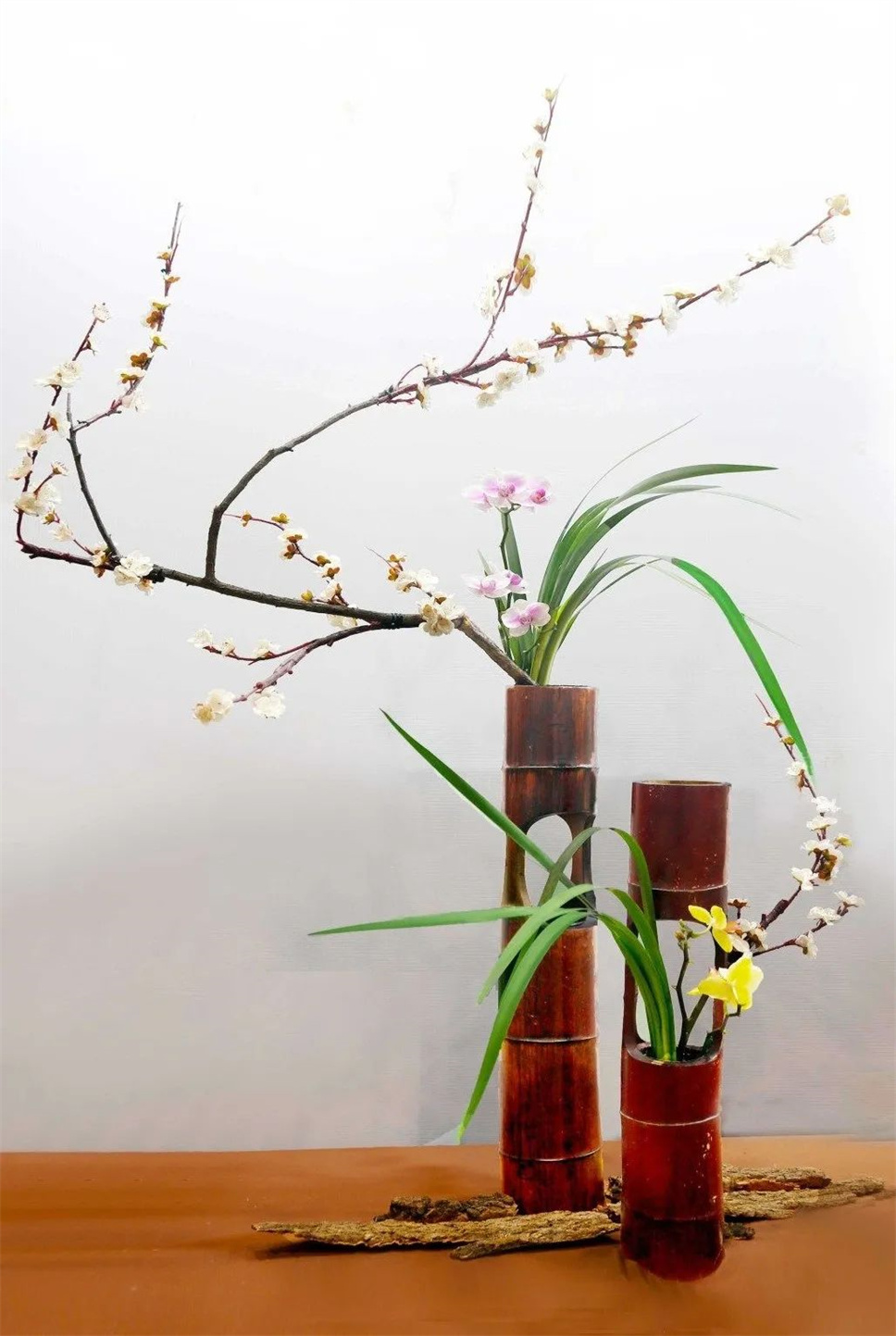 【采薇专栏】传统插花要破圈儿?17个流派、名师的200个作品点亮南京“最美花展” 【采薇专栏】传统插花要破圈儿?17个流派、名师的200个作品点亮南京“最美花展”