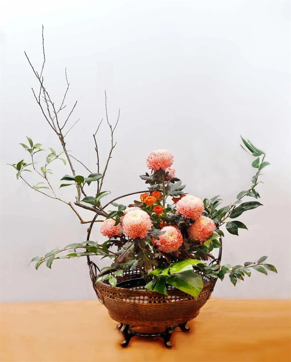 【采薇专栏】传统插花要破圈儿?17个流派、名师的200个作品点亮南京“最美花展” 【采薇专栏】传统插花要破圈儿?17个流派、名师的200个作品点亮南京“最美花展”