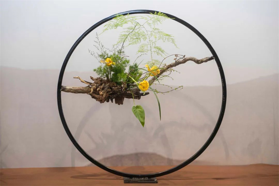 【采薇专栏】传统插花要破圈儿?17个流派、名师的200个作品点亮南京“最美花展” 【采薇专栏】传统插花要破圈儿?17个流派、名师的200个作品点亮南京“最美花展”