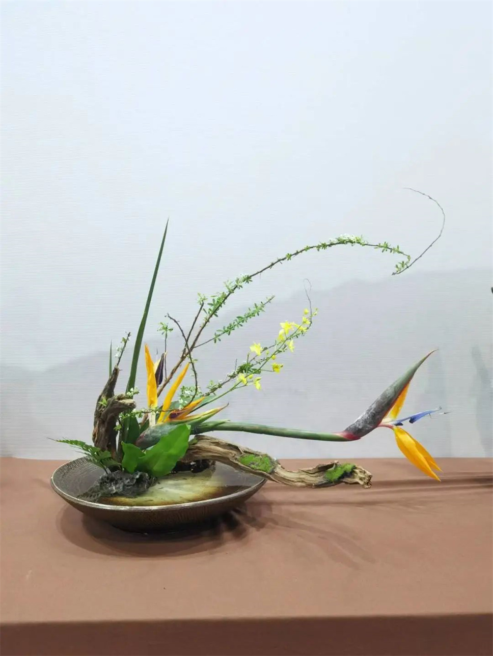 【采薇专栏】传统插花要破圈儿?17个流派、名师的200个作品点亮南京“最美花展” 【采薇专栏】传统插花要破圈儿?17个流派、名师的200个作品点亮南京“最美花展”