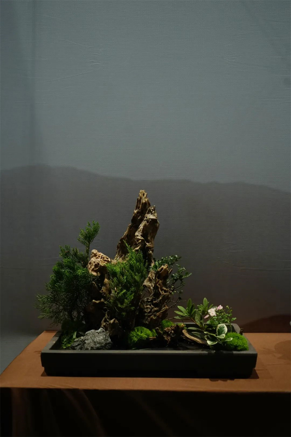 【采薇专栏】传统插花要破圈儿?17个流派、名师的200个作品点亮南京“最美花展” 【采薇专栏】传统插花要破圈儿?17个流派、名师的200个作品点亮南京“最美花展”