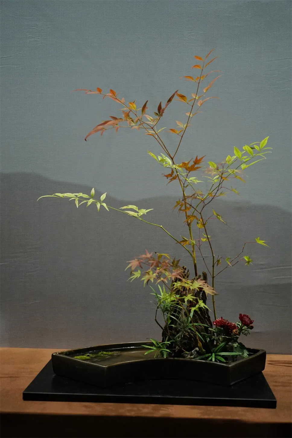 【采薇专栏】传统插花要破圈儿?17个流派、名师的200个作品点亮南京“最美花展” 【采薇专栏】传统插花要破圈儿?17个流派、名师的200个作品点亮南京“最美花展”