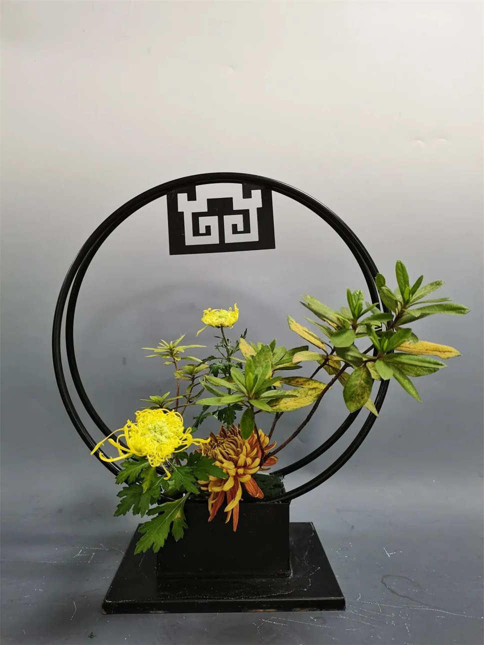 【采薇专栏】传统插花要破圈儿?17个流派、名师的200个作品点亮南京“最美花展” 【采薇专栏】传统插花要破圈儿?17个流派、名师的200个作品点亮南京“最美花展”