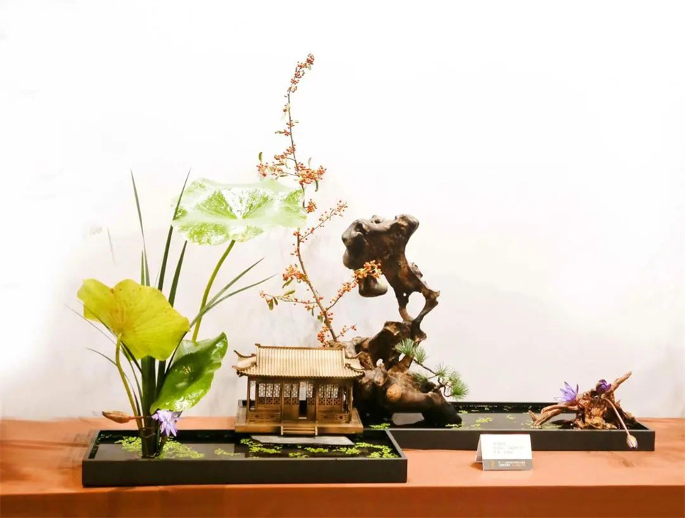【采薇专栏】传统插花要破圈儿?17个流派、名师的200个作品点亮南京“最美花展” 【采薇专栏】传统插花要破圈儿?17个流派、名师的200个作品点亮南京“最美花展”