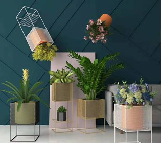 INS风网红花架，给家中添一抹亮丽风景