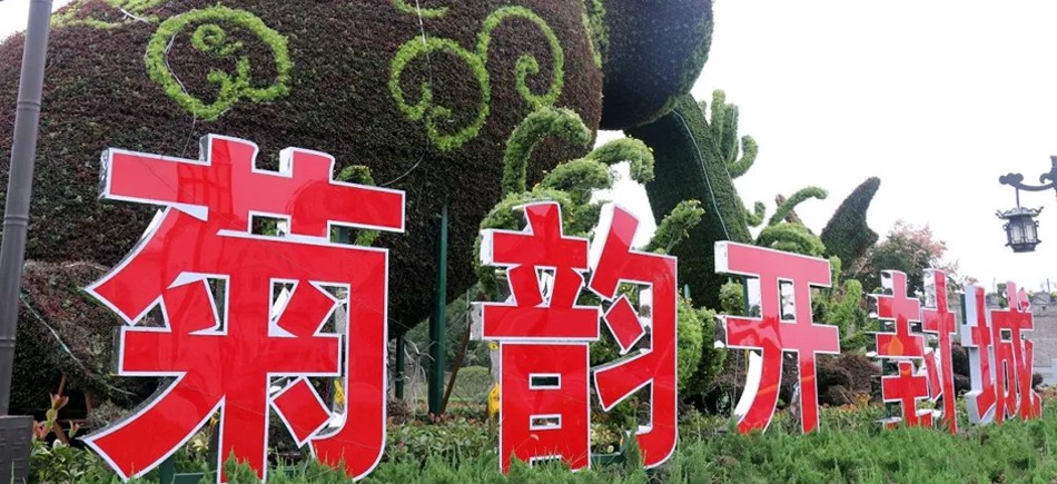 中国开封第37届菊花文化节开幕！多彩活动等你来