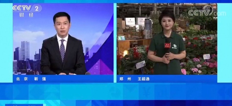 央视《第一时间》直播连线郑州花卉市场：南花北运 东花西走 淡季旺销