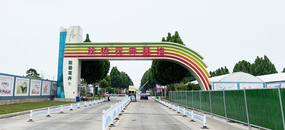 央视关注惠济区陈砦花卉双桥基地增强商户信心 积极打造郑州花卉品牌