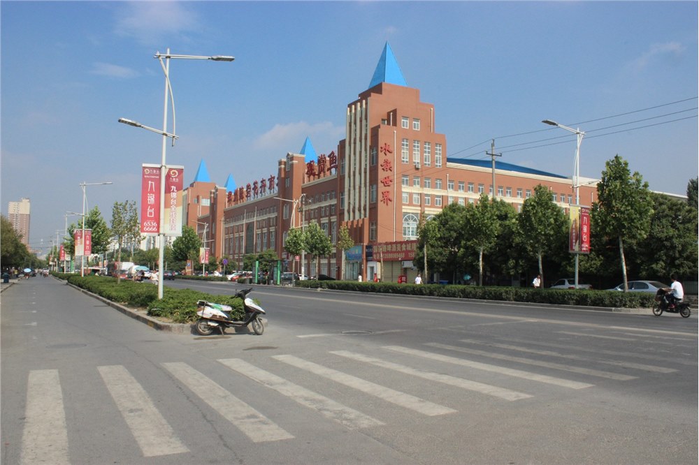 陈砦花卉观赏鱼商场